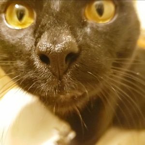 Meet your Posher, Ryan